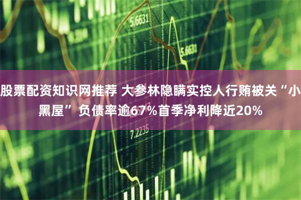 股票配資知識網(wǎng)推薦 大參林隱瞞實控人行賄被關“小黑屋” 負債率逾67%首季凈利降近20%